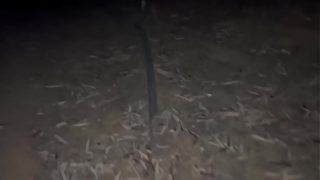 Jungle chudai of Indian collage girl.. came for exam..